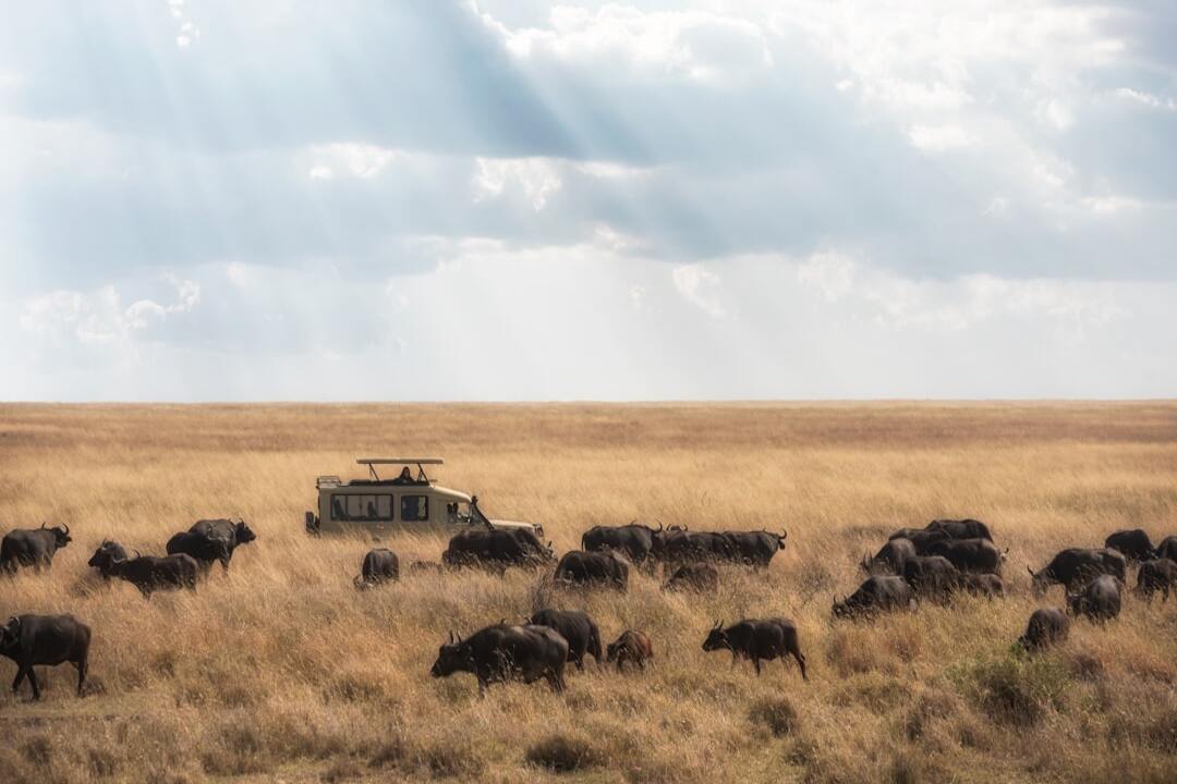 Танзания